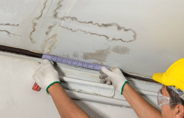 Reliable Structural Drying contractor in New Johnsonville, TN by Water Damage Irwin